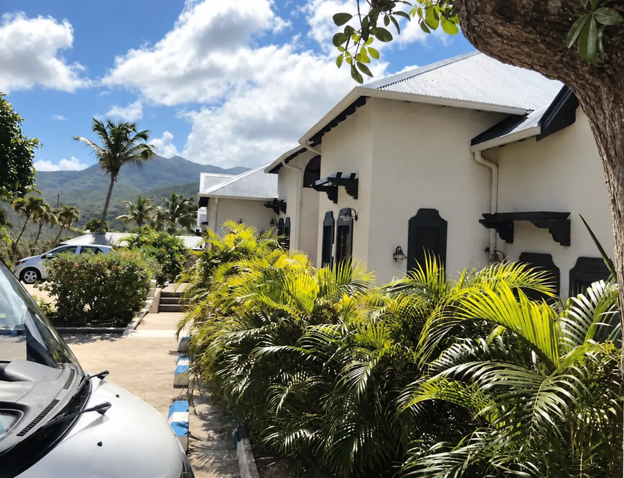 A light-coloured cottage exterior surrounded by palms and mature planting.
